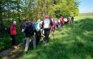 Vendredi 28 novembre : L'AIGLE