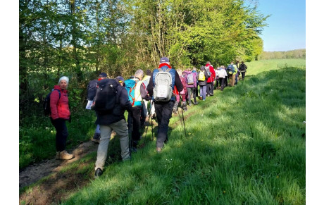 Vendredi 28 novembre : L'AIGLE